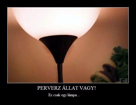 Undoritoperverzdogvagyok